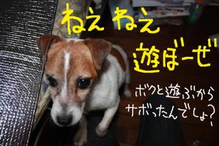 今日カズ０９０５２５　１
