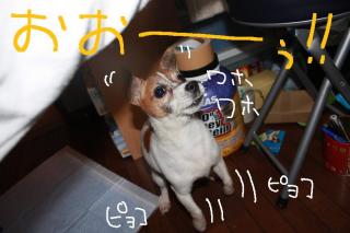 今日カズ０９０５２５　４