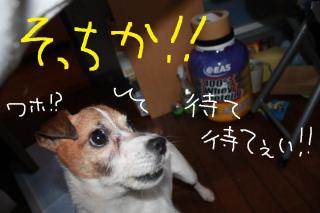 今日カズ０９０５２５　５