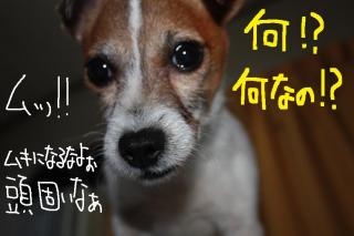 今日カズ０９０５２６　５
