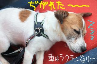 今日カズ０９０５２７　７