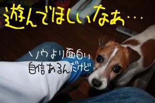 今日カズ０９０５２８　３