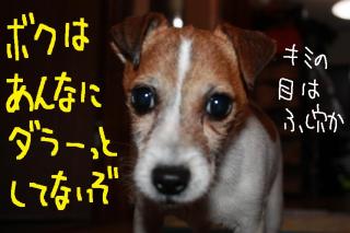 今日カズ０９０５２９　２