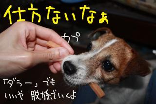 今日カズ０９０５２９　５