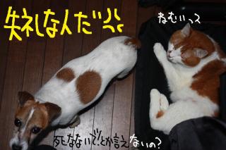 今日カズ０９０５３０　２