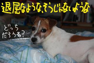 今日カズ０９０５３１　１