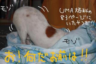 今日カズ０９０５３１　５