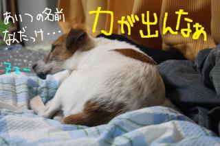 今日カズ０９０５３１　７