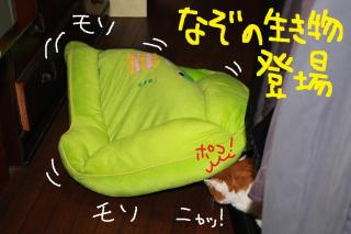 今日カズ０９０６０１　２