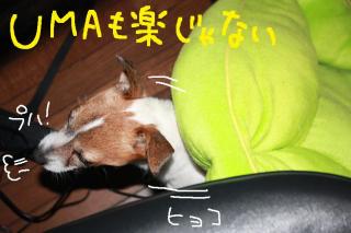 今日カズ０９０６０１　３