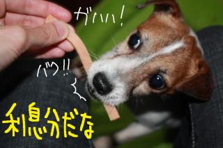今日カズ０９０６０２　５